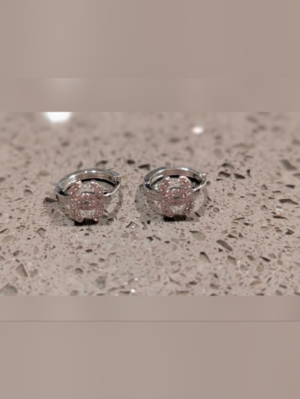 Crystal Pave Double-Circle Hoop Earrings - Silver Crystal CC Style Nwot